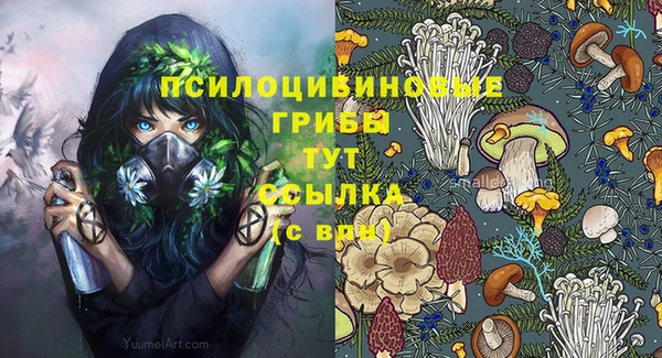 шишки Абаза