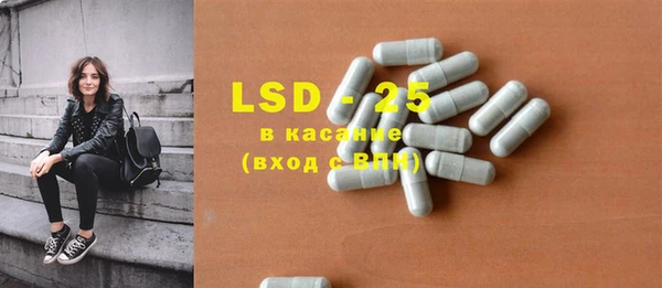 шишки Абаза