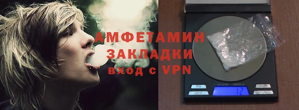 шишки Абаза