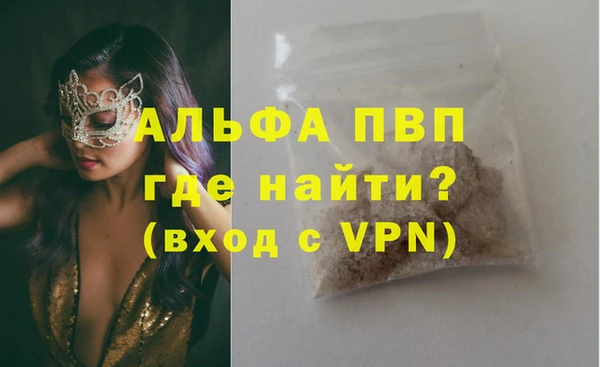 шишки Абаза