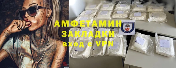 шишки Абаза