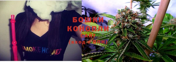 шишки Абаза